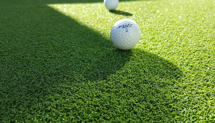 Các loại cỏ sân golf phổ biến tại Việt Nam