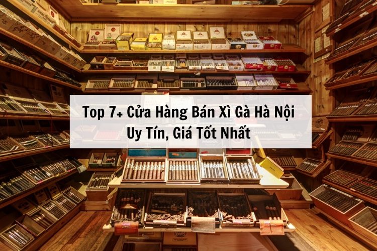 Top Cửa Hàng Bán Xì Gà Hà Nội Uy Tín, Giá Tốt Nhất