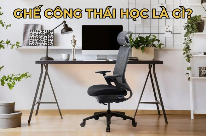 Ghế công thái học là gì