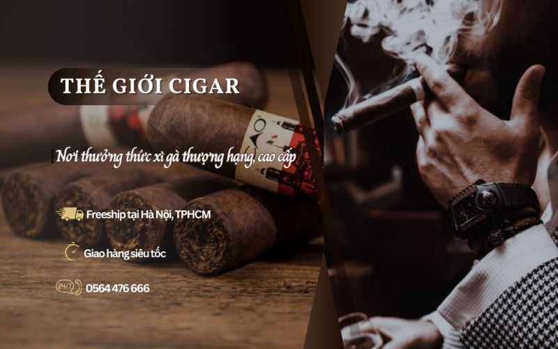 Thế giới cigar nhà phân phối xì gà chính hãng