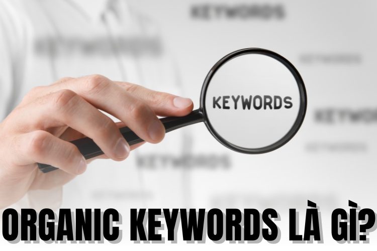 Organic Keywords là gì