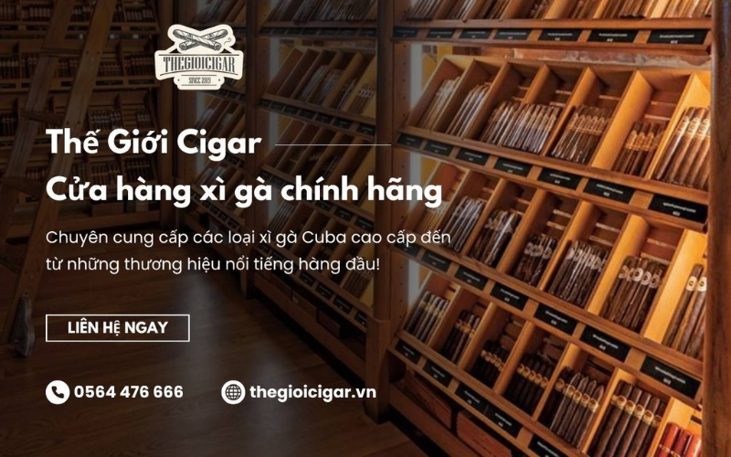 Thế Giới Cigar - Cửa hàng bán xì gà chính hãng giá tốt