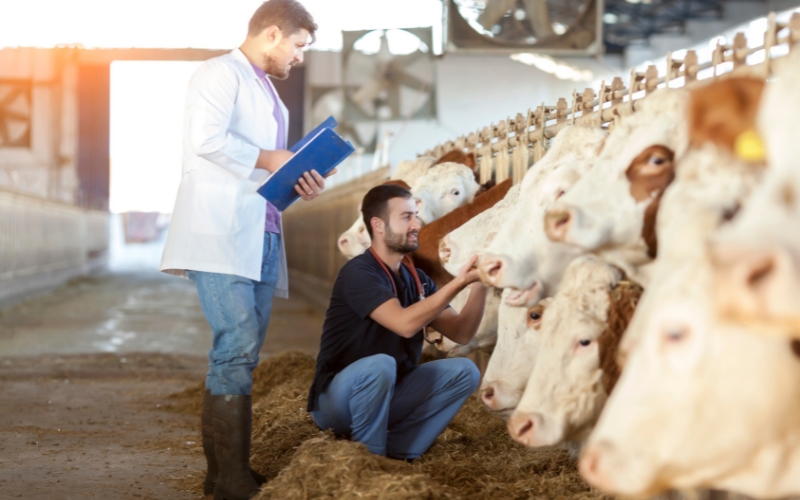 du học Nhật Bản ngành nông nghiệp